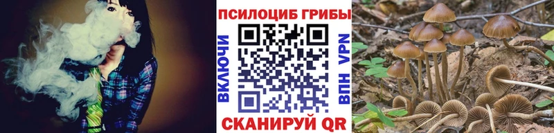 наркотики  Шлиссельбург  Псилоцибиновые грибы Psilocybine cubensis 